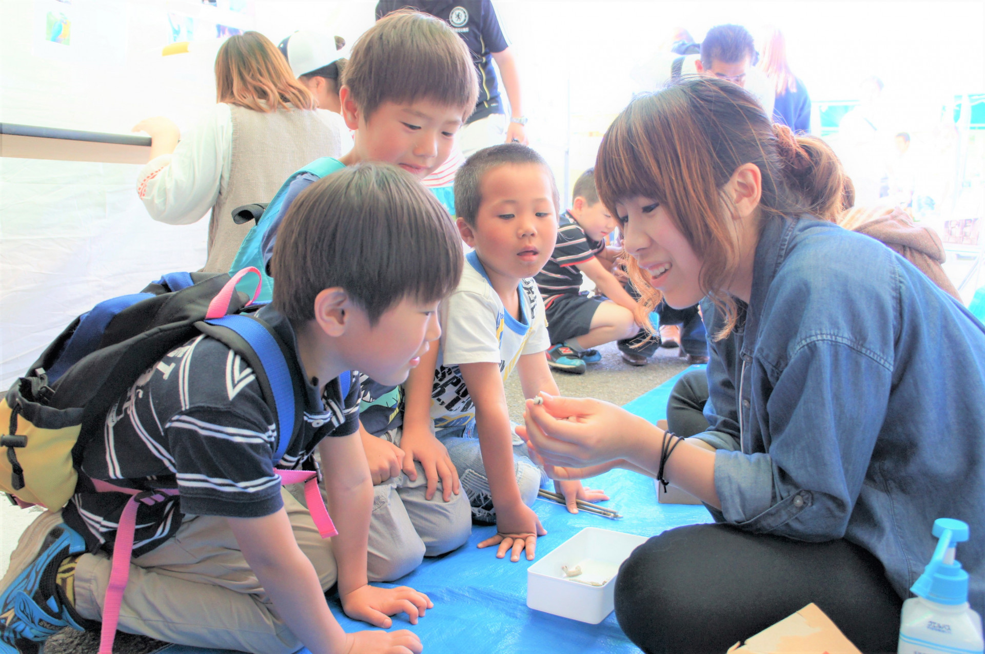 足立区にある動物と子供のための教室
