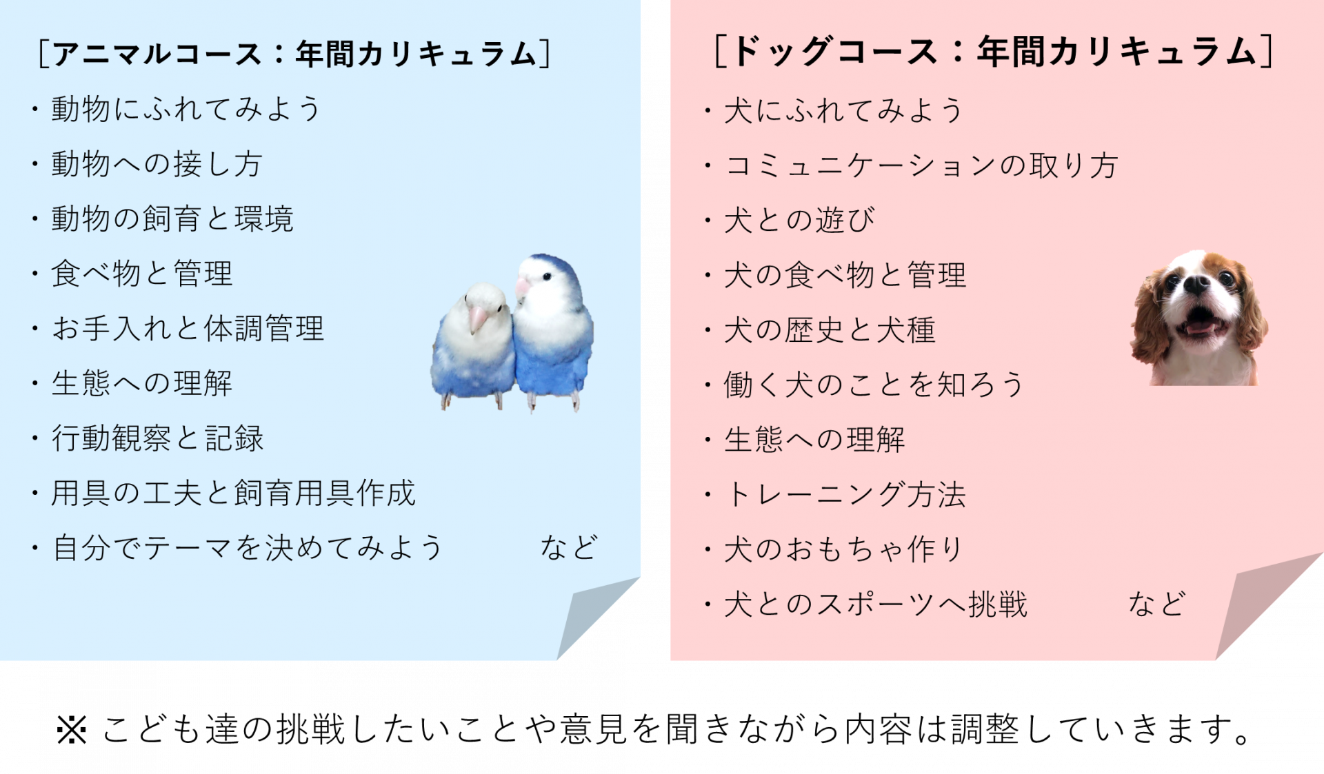 こども動物教室詳細