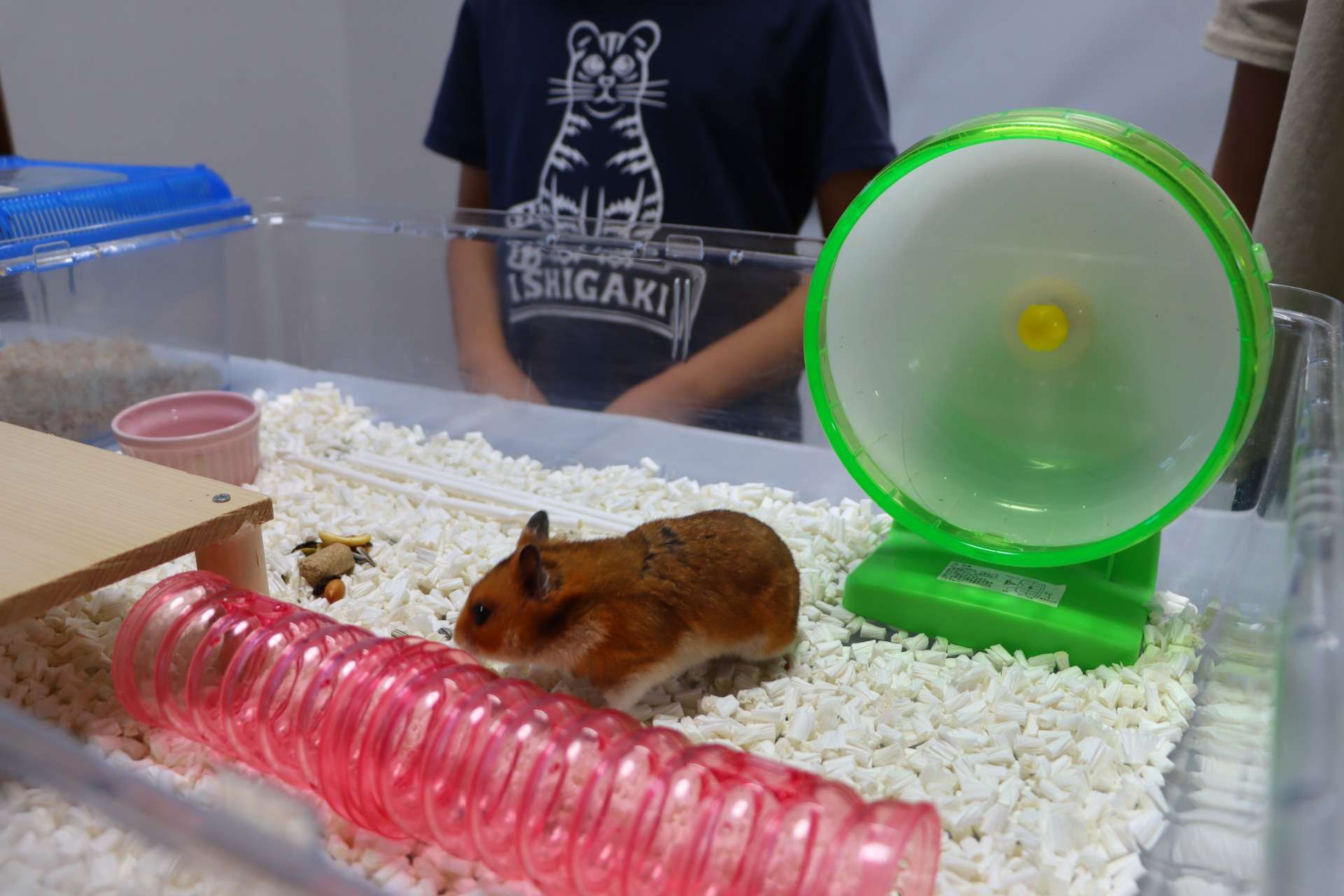 こども動物教室、体験教室募集中！【足立区】