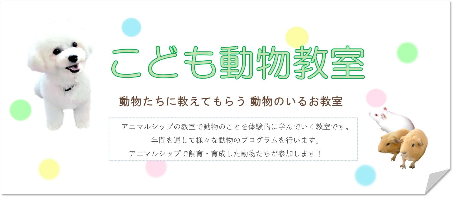 ここでしか味わえない経験がある！【こども動物教室/足立区】