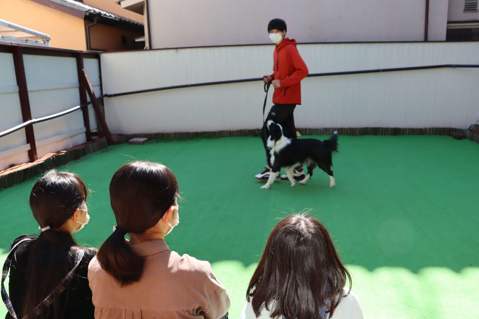 こども動物教日時変更のお知らせ
