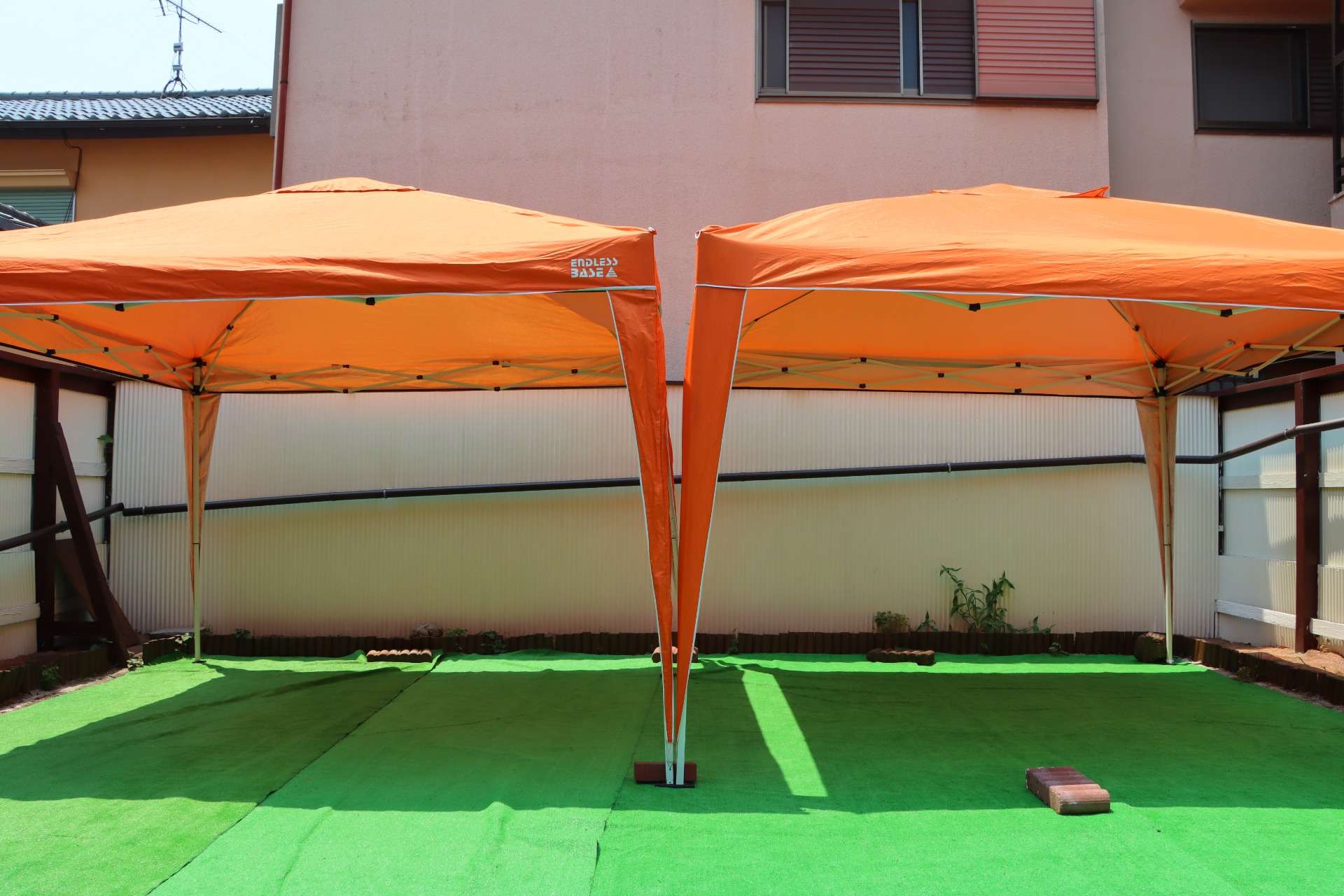 こども動物教室(7月)【足立区】