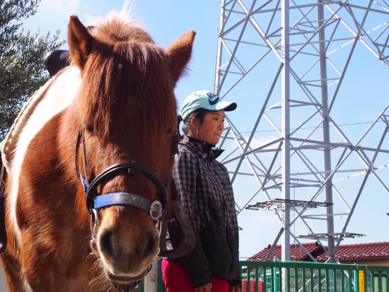 お子様への教育やご高齢の方への癒しを動物とともにご提供